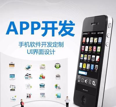 软件开发 从代码到价值的系统化工程